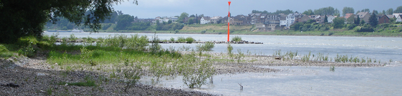 Rheinfischereigenossenschaft NRW